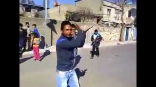 Tekno Kurdish Fly Dance
