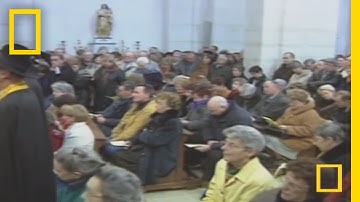 Truffles | National Geographic