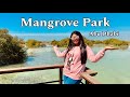 Abu dhabi mangrove park full information  timing tickets parking activities