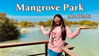 Abu Dhabi Mangrove Park full Information - Timing, Tickets, Parking, Activities