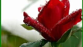 A Mesajları,Ibretlik Mesajlar,Dini Mesajlar,Resimli Mesaj,Hikmetli Sözler