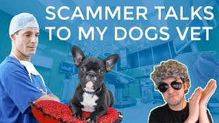 Scammer Tells My Vet My Dog
