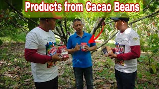 How To Succeed In Cacao Farming? Panoorin ang Diskarte