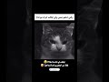 سکوت می کنی ولی صورتت لو میده طنز خنده رفتار قیافه 8 بامزه