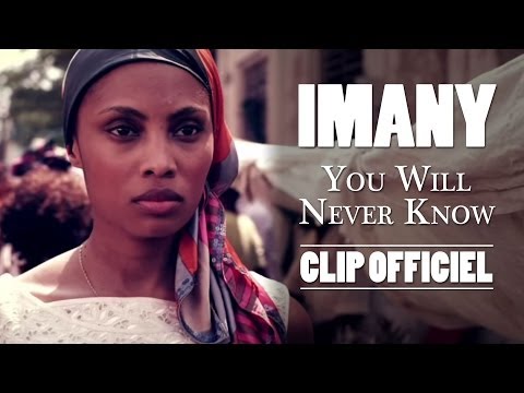 Dfm 2014 imany you will never know клип