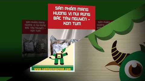 Chuối hột rừng - samtuoingoclinh.com