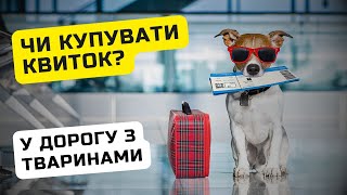 Як правильно подорожувати з тваринами: правила для України і ЄС / Ільїнойс #біженці #подорожі