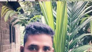 Harej ali rajul