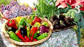 5 CURIOSIDADES LLAMATIVAS SOBRE FRUTAS Y VERDURAS