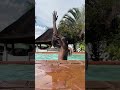 Obvious ThA Bonebreaker (most flexible arm)