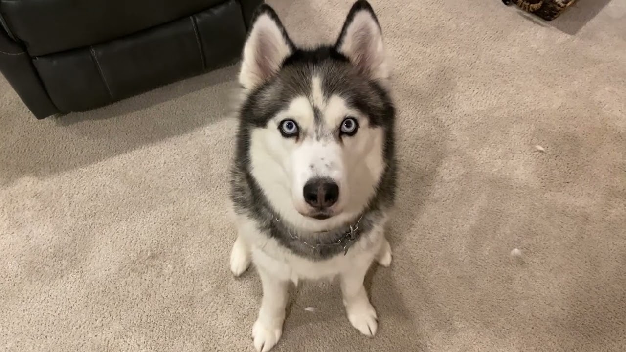 Music Theory 102 - chord scales and number theory