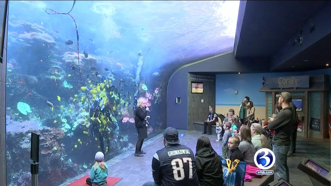 A behind the scenes look at the Aquarium YouTube