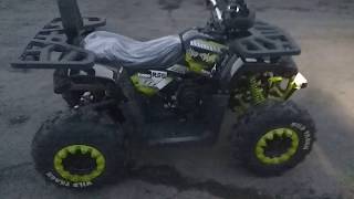 Новинка квадроцикл  Motoland - ATV WILD TRACK 200!