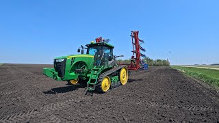 First Passes Of Weed Control In A Organic Corn Field!