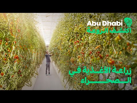 أبوظبي اكتشف الروعة بيور هارفست للمزارع الذكية النظم الغذائية المستدامة