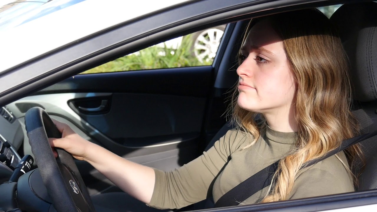 top movies on netflix Parking Wildlife