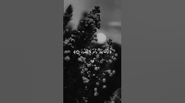 تلاوة القرآن الكريم 💚💚💚 #اكسبلور #الجميع #المصحف #المتابعين #لايك #الرحمن #للجميع #للمتابعين #تفاعل