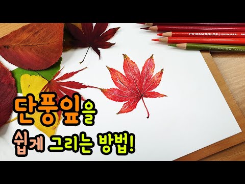 [가볼쌤] 단풍잎 쉽게 그리는 방법!(색연필로 단풍잎 그림 그리기!)