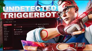 I Tested the BEST Valorant Triggerbot for The First Time... The Results Were Insane