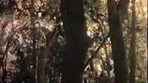 Behind Enemy Lines - 1987-full HD