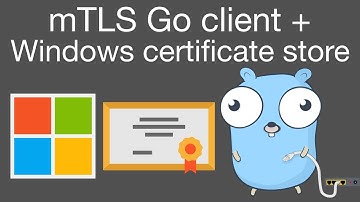 Mutual TLS (mTLS) Go client using Windows certificate store