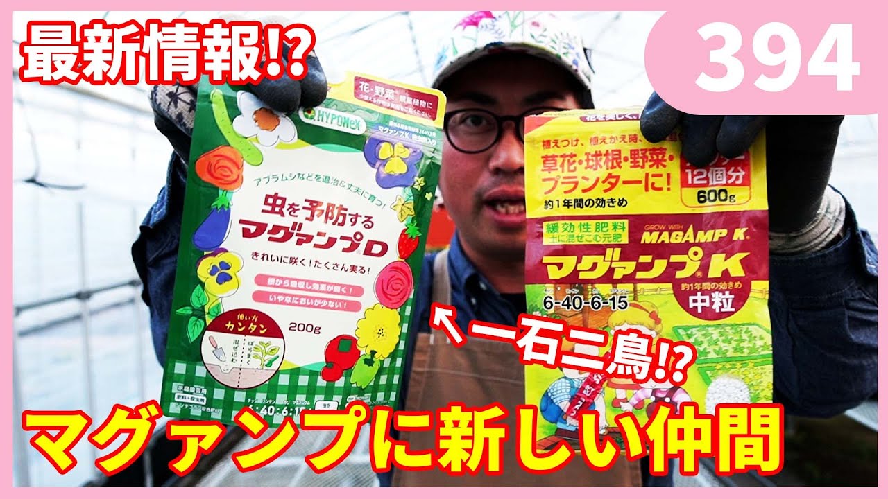 Not just fertilizer! Magamp also works on insects!? by Gardening