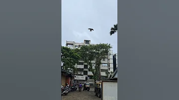 Saiyaara 