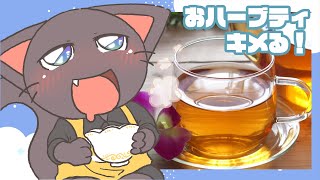 【お絵描き配信】ハーブティーパック買ってきたので〇〇する配信20250526