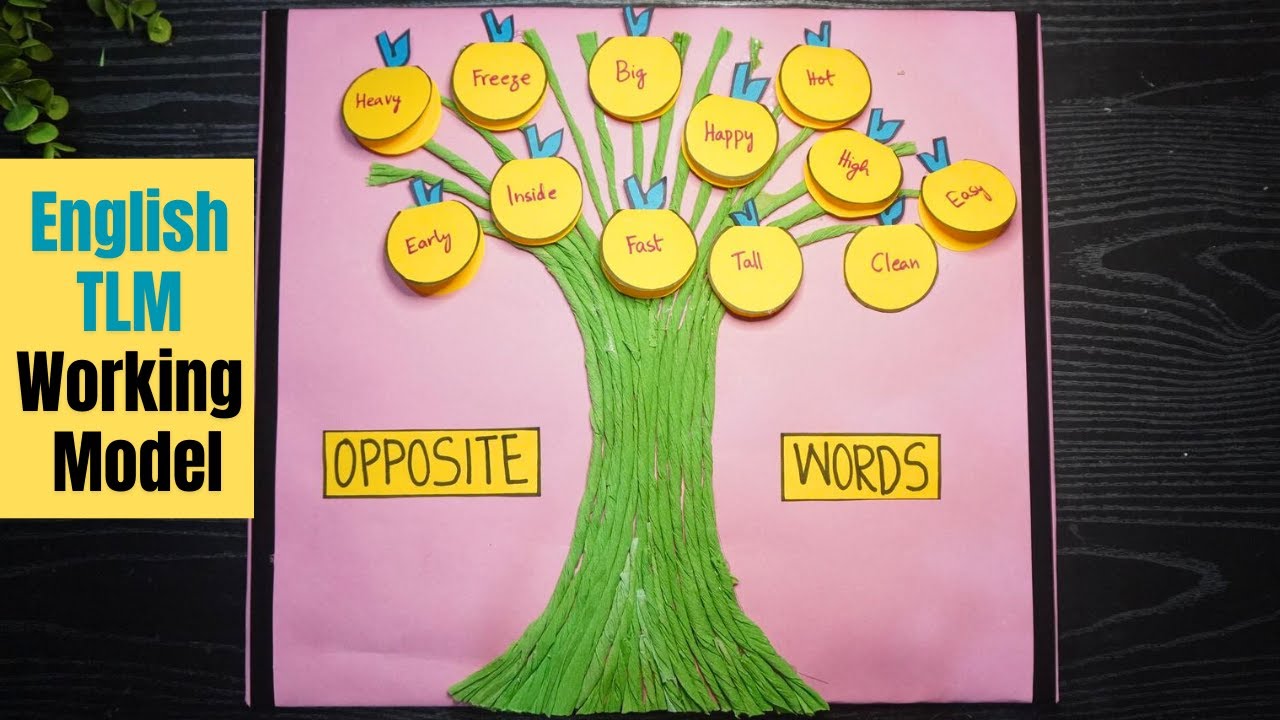 English TLM | English Opposite Words Model | English Working Model | Exhibition model for school