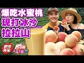 食尚玩家2天1夜go 爆吃水蜜桃之旅 大口喝現打水蜜桃冰沙 夏天消暑就靠這一味 網路獨家 SuperTaste In Lala Shan Taiwan 20220810 食尚玩家2天1夜go 爆吃水蜜桃之旅 大口喝現打水蜜桃冰沙 夏天消暑就靠這一味 網路獨家 SuperTaste In Lala Shan Taiwan 20220810