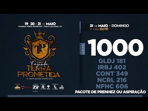 LOTE 1000 PACOTE DE PRENHEZ GLDJ 181 IRBJ 402 CONT 349 NCRL 216 NFHC 606