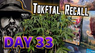 Thrips?!?! - Mephisto Toketal Recall : Uncut | Day 33