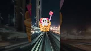 passeando
