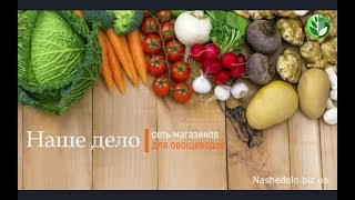 Огурец Альянс F1 Огурец Альянс F1