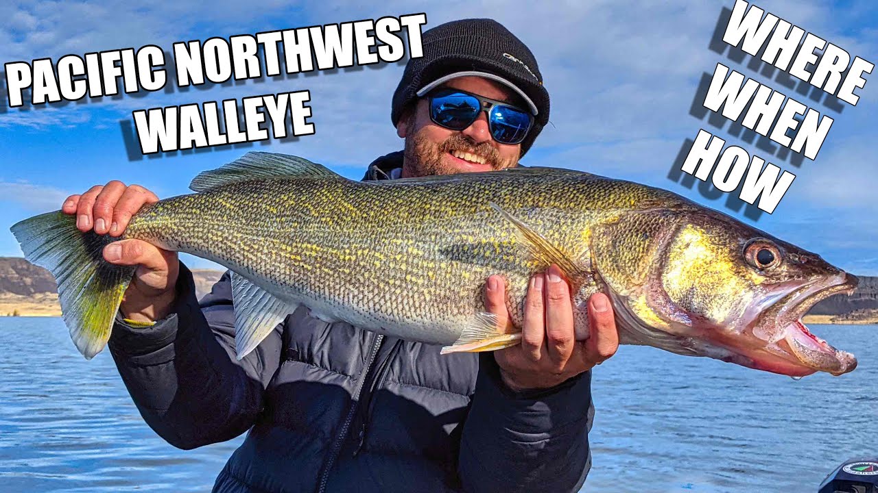 Introduction to Pacific Northwest Walleye: Where, When, & How