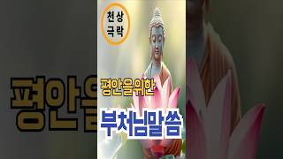 불효한 마음에도 평안은 있다ㅣ부처님명언ㅣ불교 말씀ㅣ불교오디오북