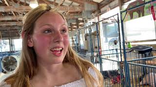 Pig auction goes hog wild