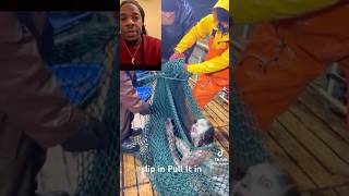They caught a #mermaid #viralvideo #duet #shortvideo #funny #viral #shortfeed #shortvideos #viral