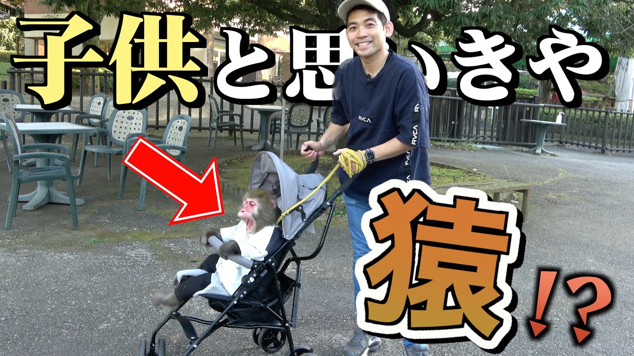 街を歩いてお猿さんがバレたら即帰宅企画が奇跡の展開に…！