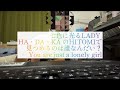 七色LADY~DADADA 花吹雪20万年ガール~ 奇妙礼太郎 (弾き語りcover)