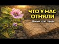 Что у нас отняли: Мальва — забытое лекарство