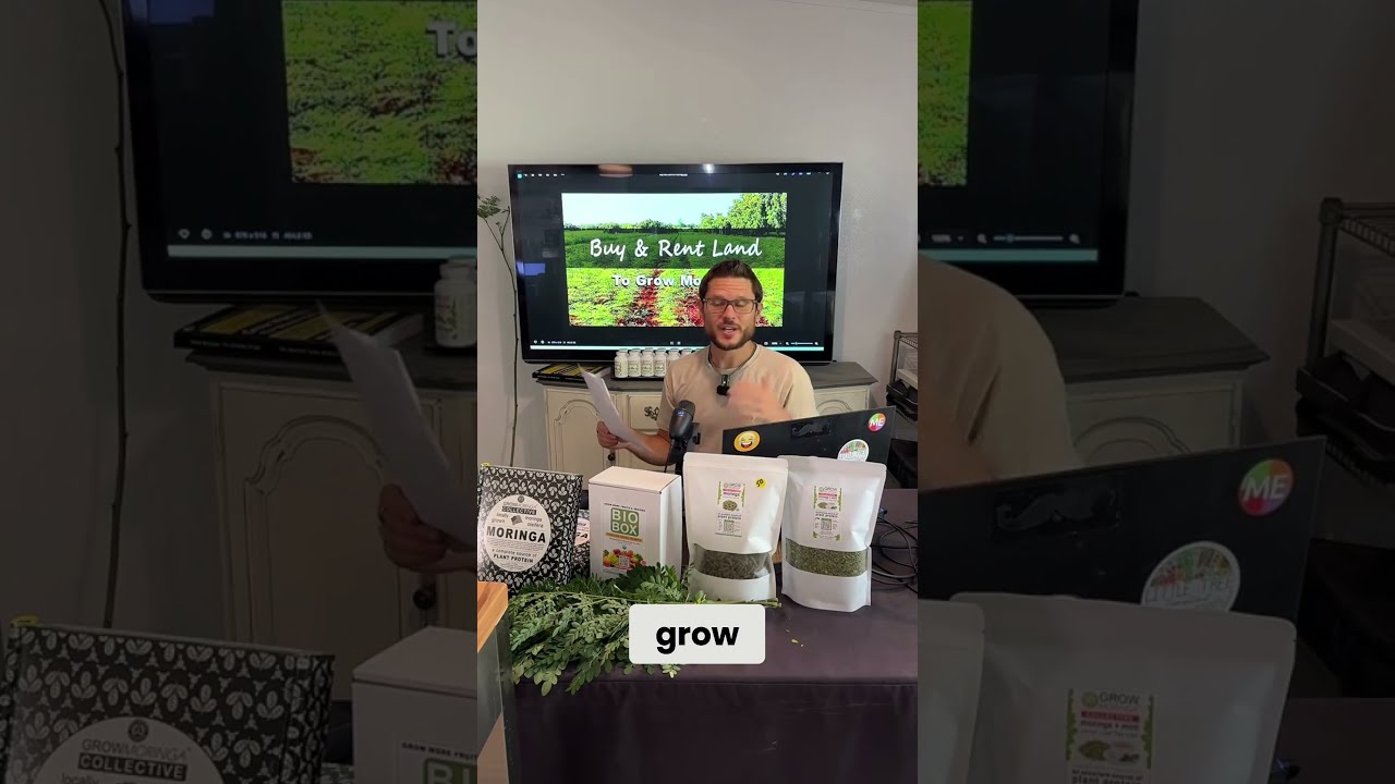 Moringa Huge Growth Get In Now 20 Billion Dollar Industry