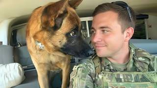 When God Sends You a Comedian Police Dog 😂 Funniest Dogs Video 2026