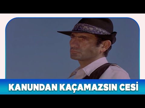 Vurguncular Türk Filmi