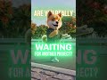 Still waiting for “the next one”… or finally choosing what’s already building? #babydoge