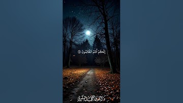 ما تيسر من سورة الأنبياء 