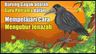 Burung gagak adalah guru pertama dalam dalam mempelajari cara mengubur jenazah