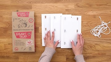 Pestmatic Codling moth traps