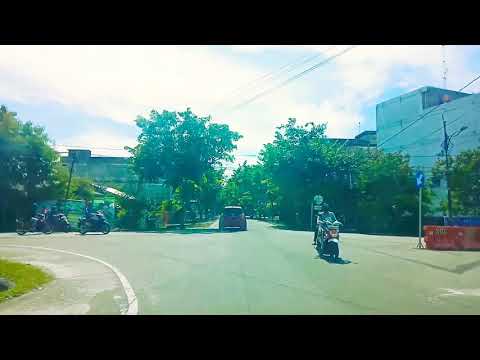 孤芳自赏 - 杨小壮 Gu fang zi shang - yang xiao zhuang 中文歌词+拼音 [With Chinese pinyin lyrics]