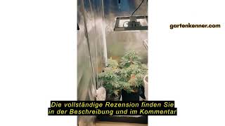 Produktbewertung poolomio Green Nebula Growzelt 80x80x180 cm | Grow Tent reflektierendes Mylar 1680D